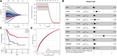 Potential value of the homologous recombination deficiency signature we developed in the prognosis and drug sensitivity of gastric cancer